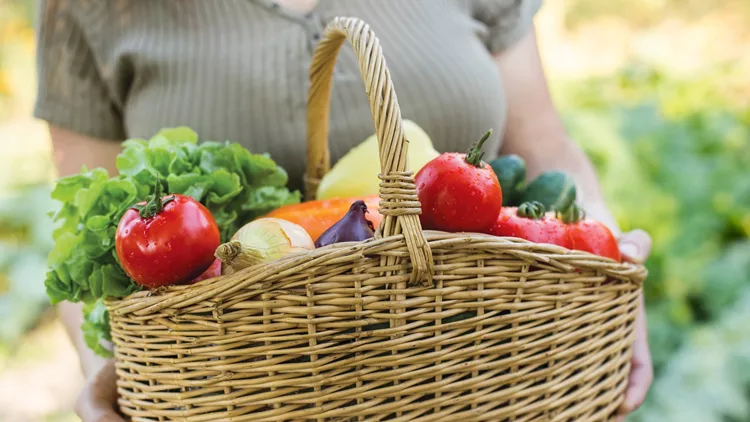fruits and vegetables
