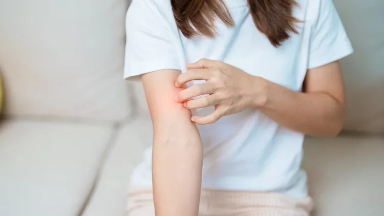 Έχεις λύκο (ΣΕΛ)