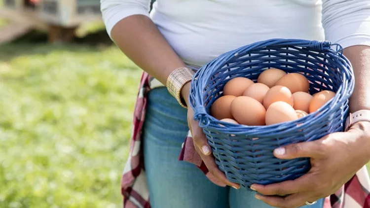 Ένα αβγό τη μέρα: Καλάθι με φρέσκα αβγά