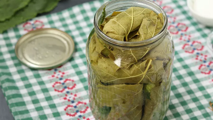 Grape Leaves In Brine