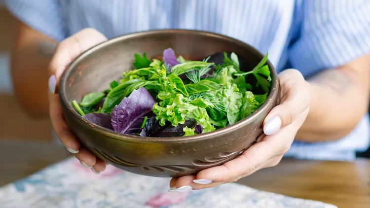 Πρόγραμμα διατροφής αντιγήρανσης