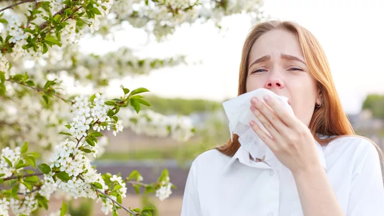 allergy spring