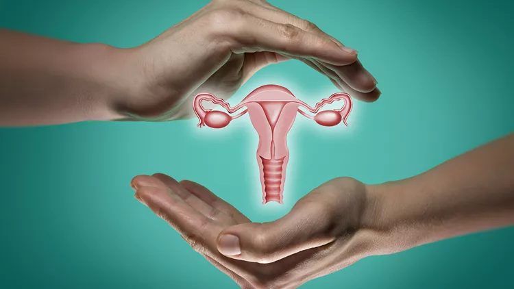 γυναικεία αναπαραγωγικά όργανα μήτρα τράχηλος ωοθήκες