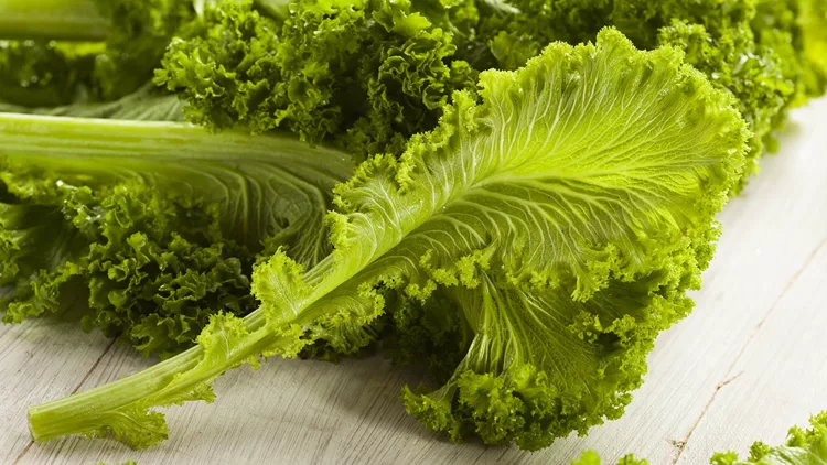 mustard greens ή ινδική μουστάρδα