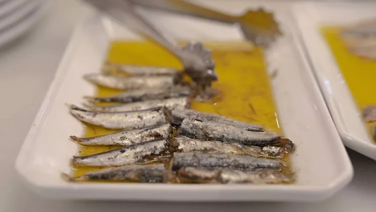 sardine