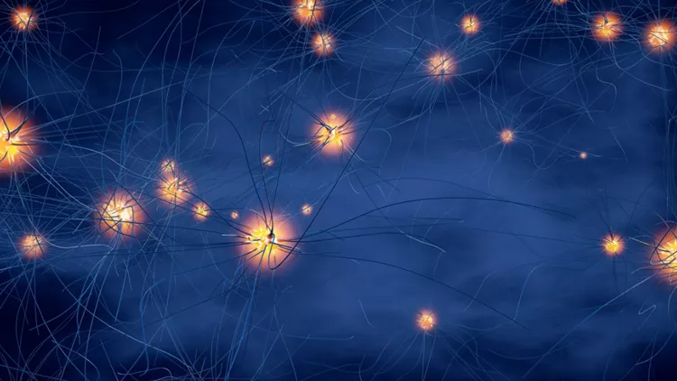 επιληψία εγκέφαλος νευρώνες