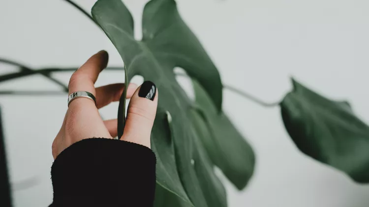 Ημερήσιες προβλέψεις