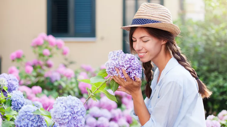 πλεξούδες στα μαλλιά