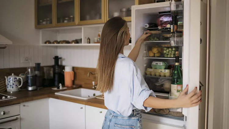 fridge door