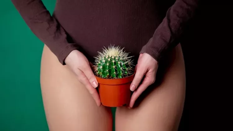 gdfgd