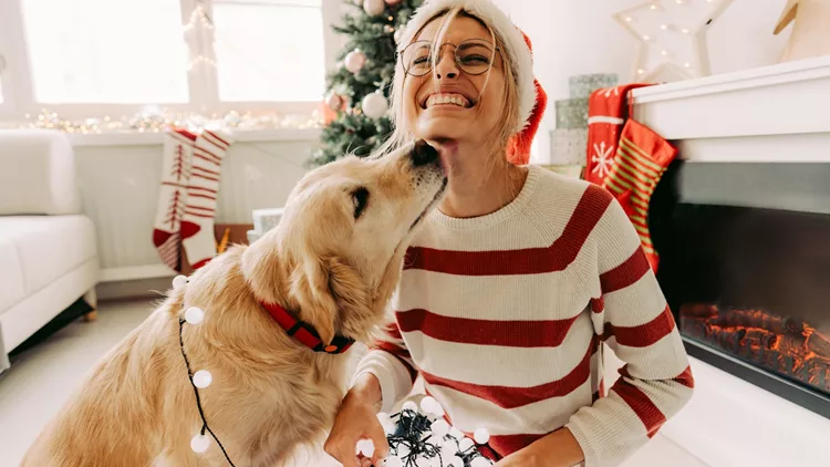 ζώδια Δεκεμβρίου