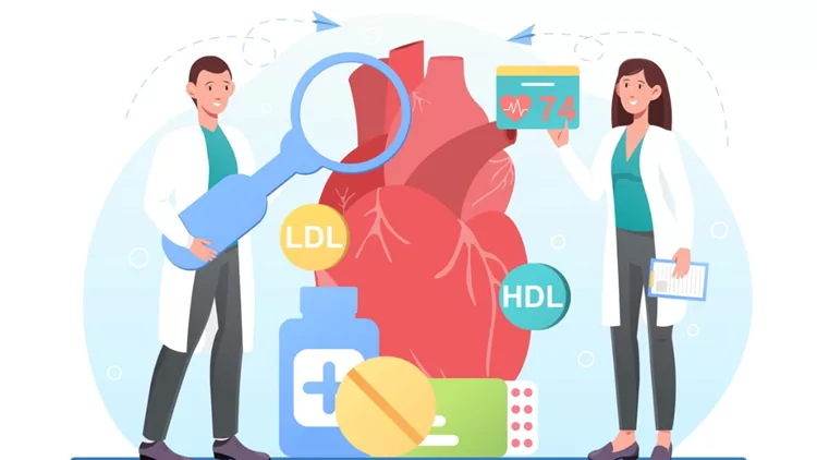 χοληστερίνη χοληστερόλη HDL LDL