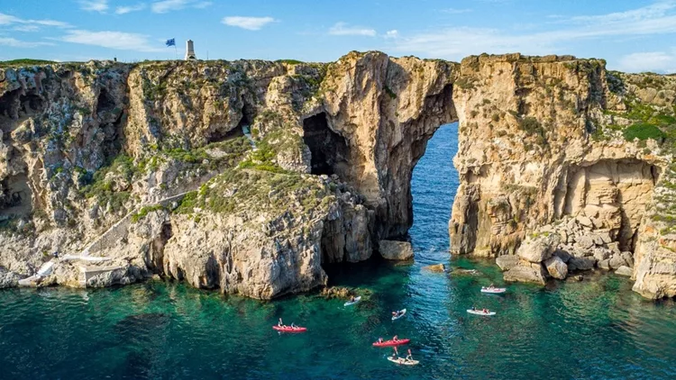 navarino
