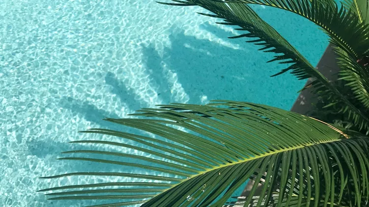 Τα ζώδια σήμερα 21/7