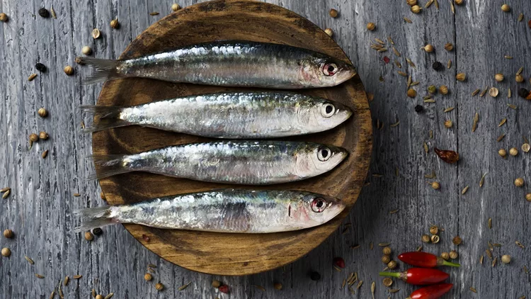 sardines