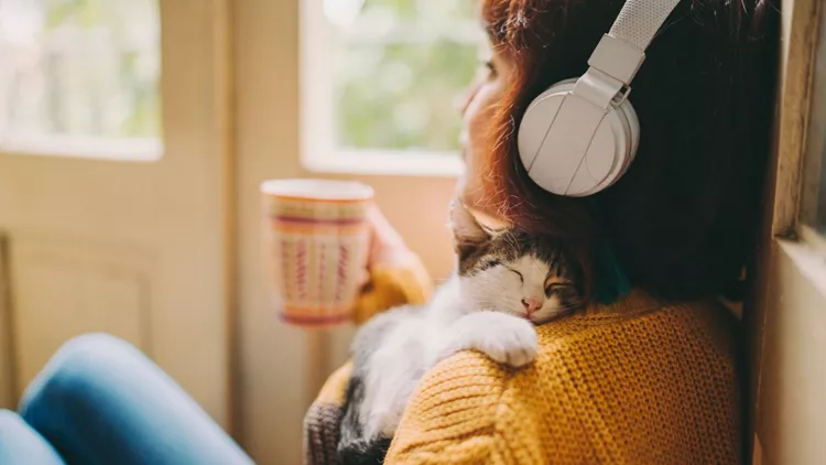 Ημερήσιες προβλέψεις