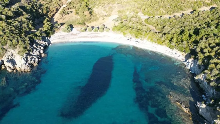 παραλια