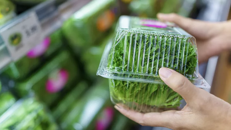 Packaged Salad