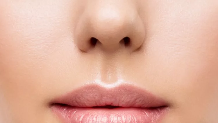 lips-woman-face-mouth-beauty-beautiful-skin-and-full-lip-closeup-pink-picture-id683972828