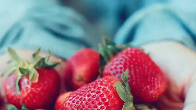 holding-fresh-strawberry-picture-id825490296 (1)