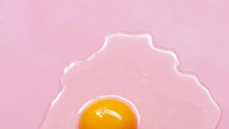 egg-yolk-close-up-picture-id663053000