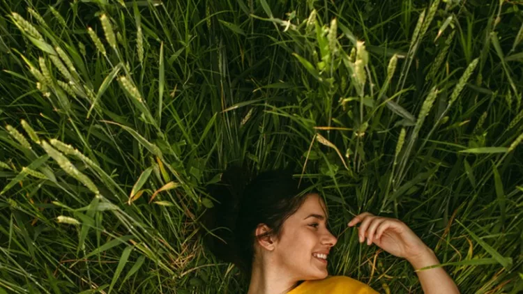 in-the-meadow-picture-id976585606 (1)