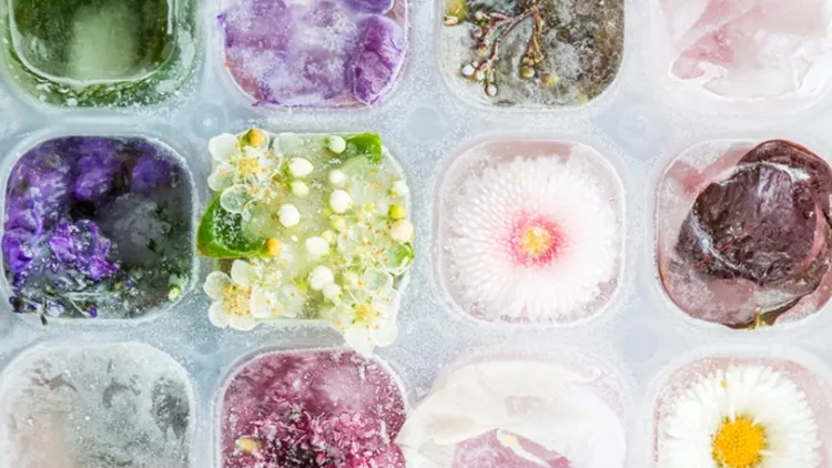 tray-with-frozen-flowers-in-ice-cubes-picture-id692598452