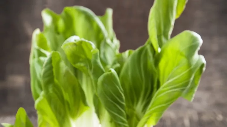 Bok choy