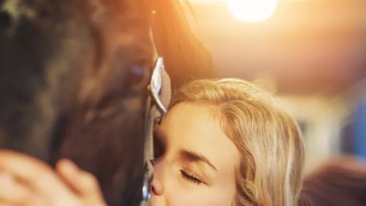 young-woman-hugging-her-horse-in-stables-before-a-ride-picture-id961362584