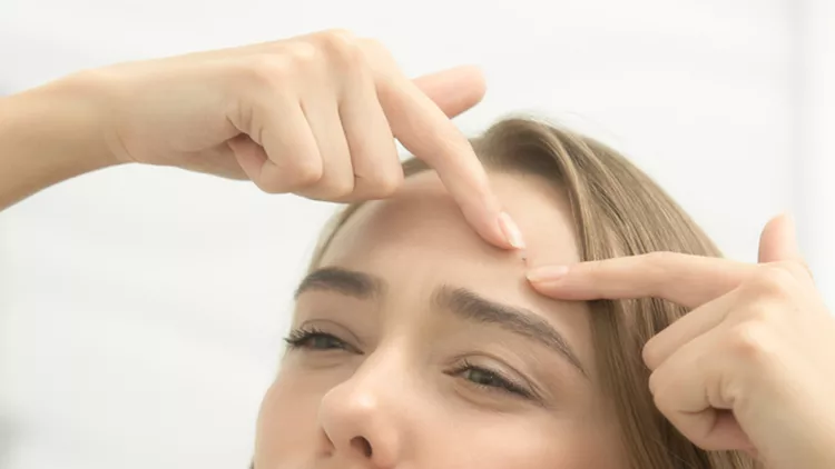 shutterstock_511501423