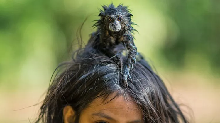 best-photos-2016-natgeo-national-geographic-7-5846f70467192__880