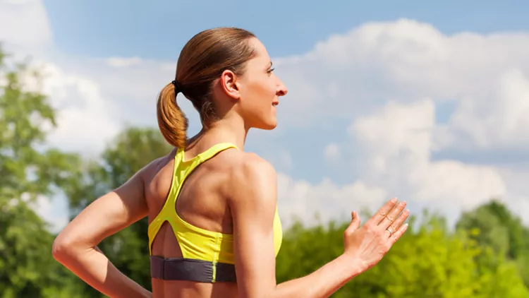 shutterstock_533625532