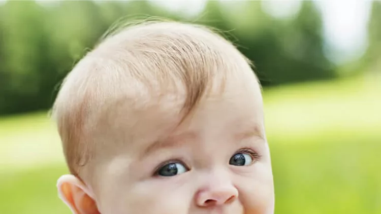 shutterstock_123499807