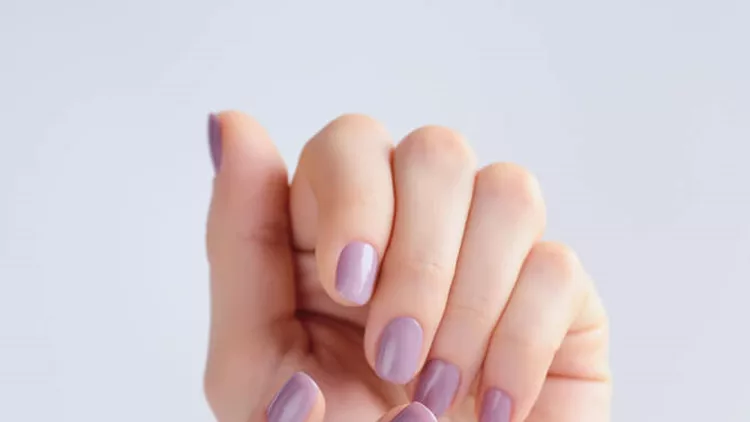 shutterstock_583787683