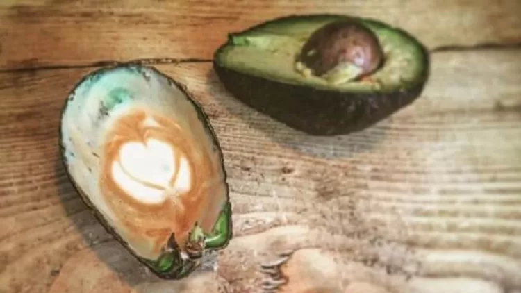 avo