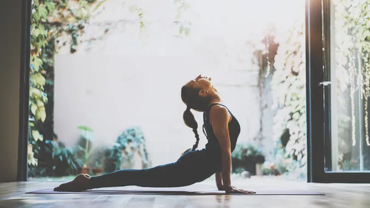 shutterstock_608932694