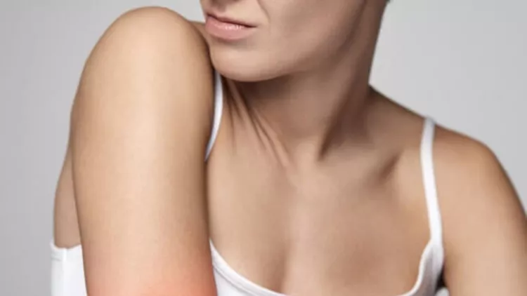 shutterstock_566091724