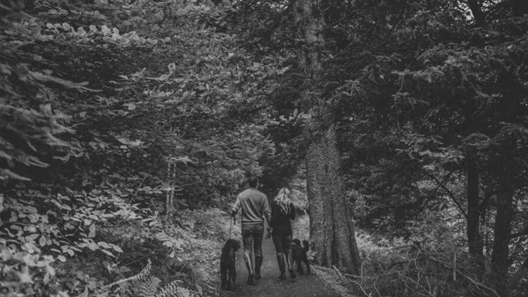 Grizedale-Forest-Pre-Wedding-Shoot-Jono-Symonds-Photography-4-e1511214212985