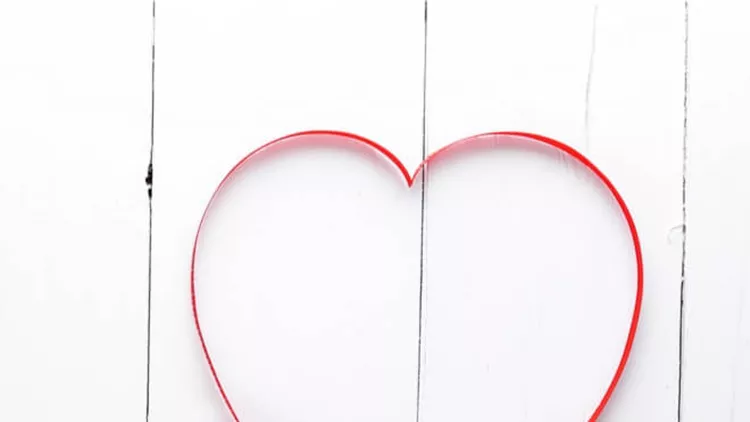 shutterstock_4555329