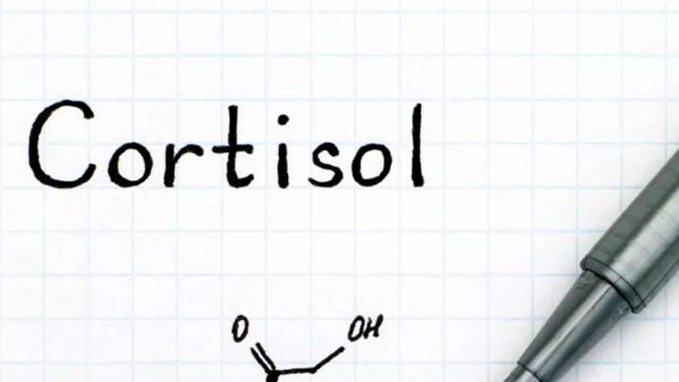 chemical-formula-of-cortisol-with-black-pen-picture-id860939774 (1)