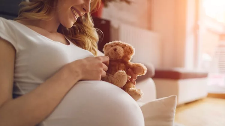 Pregnant Woman Holding Teddy Bear