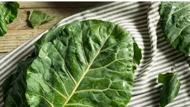 raw-green-organic-collard-greens-picture-id898402536