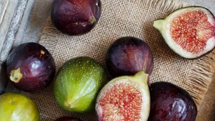 green-and-purple-figs-picture-id701017058 (1)