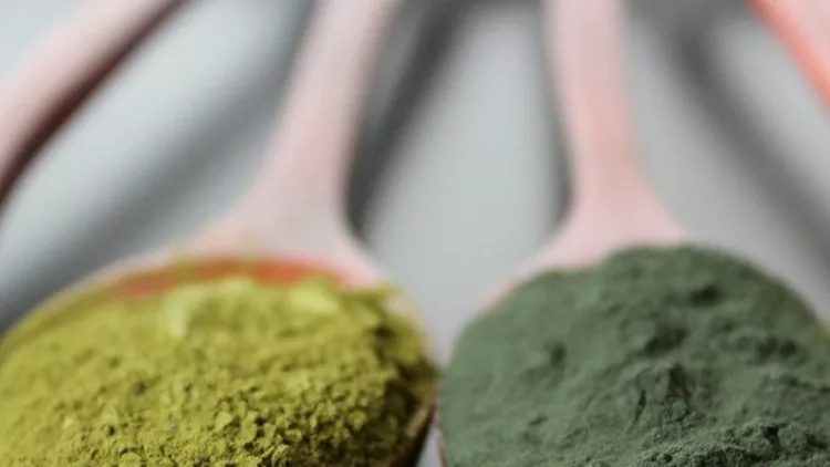 spirulina-and-chorella-powder-backround-picture-id500967432