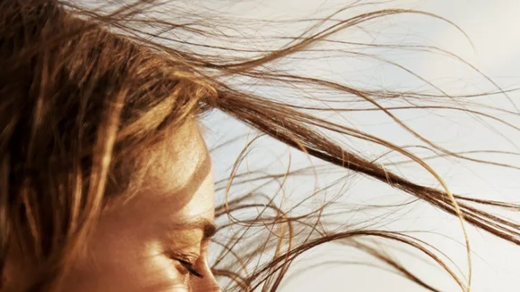 enjoying-the-fresh-sea-air-picture-id468906855