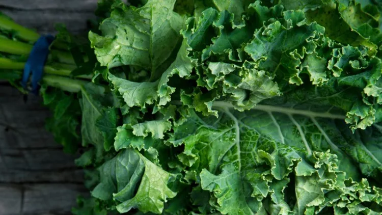 kale-picture-id497951835