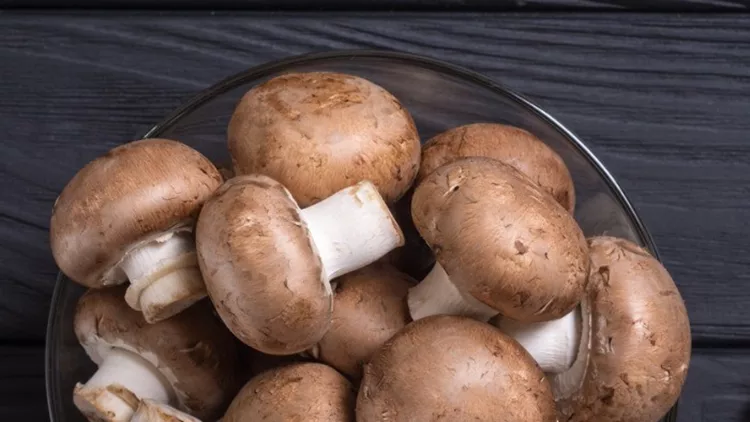 fresh-raw-royal-champignon-picture-id1021788048 (1)