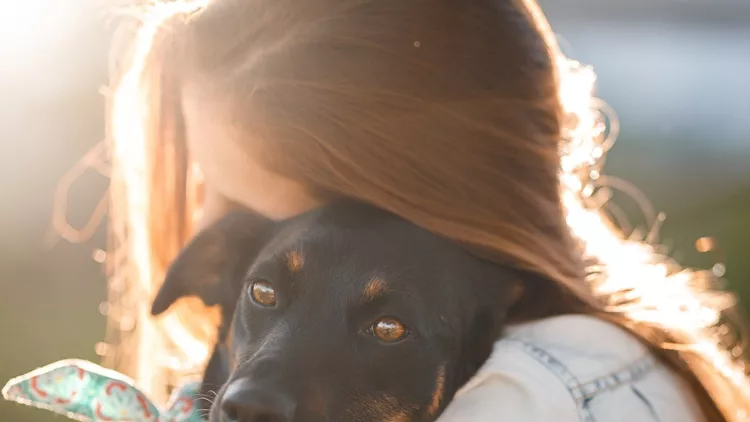 girl-hugging-her-dog-picture-id1034613010