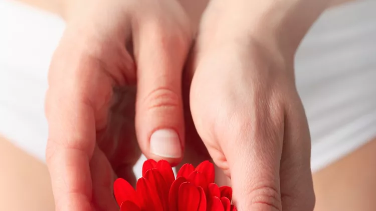 woman-in-panties-holding-gerbera-close-up-picture-id1207568291 (1)