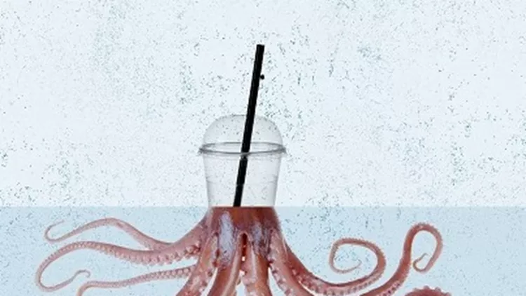 CS_Octopus_Frappa